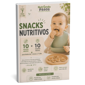 Ebook ─ Snacks Nutritivos
